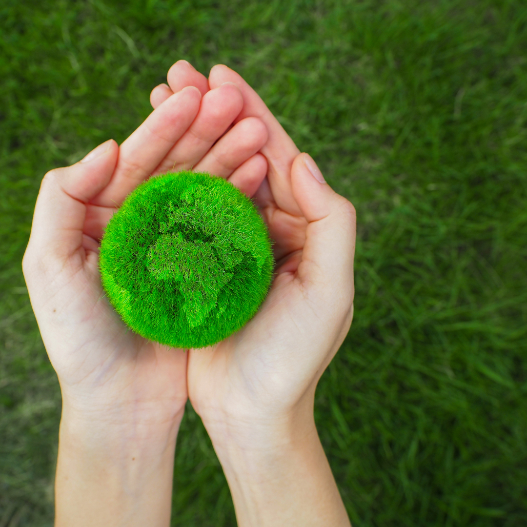 10 Simple Ways to Live a More Sustainable Life